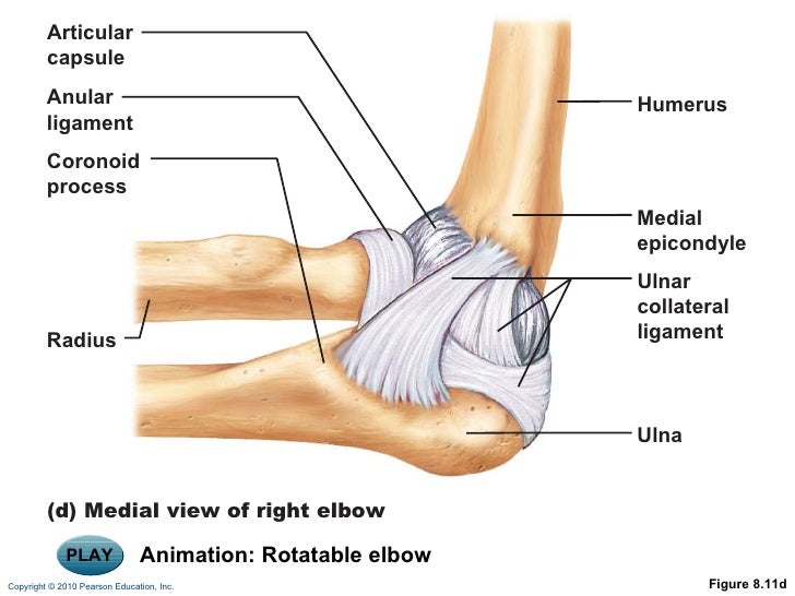 Ch 08 lecture_outline_b