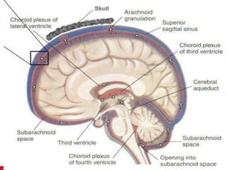 © 2019 McGraw-Hill Education
102
 