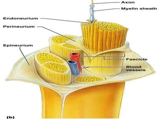 © 2019 McGraw-Hill Education
106
 