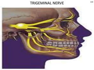 © 2019 McGraw-Hill Education
110
TRIGEMINAL NERVE
 