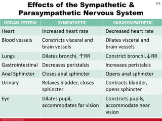© 2019 McGraw-Hill Education
113
Effects of the Sympathetic &
Parasympathetic Nervous System
ORGAN SYSTEM SYMPATHETIC PARASYMPATHETIC
Heart Increased heart rate Decreased heart rate
Blood vessels Constricts visceral and
brain vessels
Dilates visceral and
brain vessels
Lungs Dilates bronchi, ↑RR Constrict bronchi,↓RR
Gastrointestinal Decreases peristalsis Increases peristalsis
Anal Sphincter Closes anal sphincter Opens anal sphincter
Urinary Relaxes bladder, closes
sphincter
Contracts bladder,
opens sphincter
Eye Dilates pupil,
accommodates far vision
Constricts pupils,
accommodate near
vision
 
