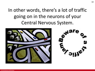 © 2019 McGraw-Hill Education
63
In other words, there’s a lot of traffic
going on in the neurons of your
Central Nervous System.
 
