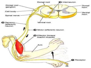 © 2019 McGraw-Hill Education
68
 