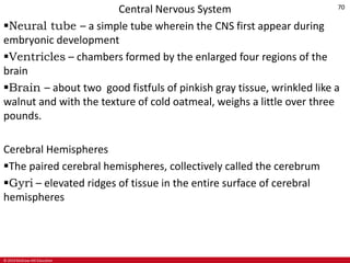© 2019 McGraw-Hill Education
70
Central Nervous System
Neural tube – a simple tube wherein the CNS first appear during
embryonic development
Ventricles – chambers formed by the enlarged four regions of the
brain
Brain – about two good fistfuls of pinkish gray tissue, wrinkled like a
walnut and with the texture of cold oatmeal, weighs a little over three
pounds.
Cerebral Hemispheres
The paired cerebral hemispheres, collectively called the cerebrum
Gyri – elevated ridges of tissue in the entire surface of cerebral
hemispheres
 