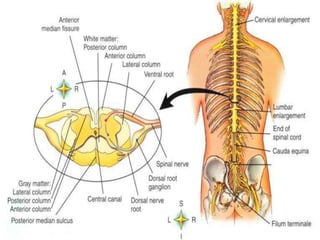 © 2019 McGraw-Hill Education
72
 