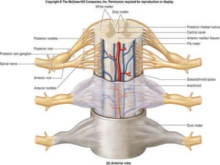 © 2019 McGraw-Hill Education
74
 