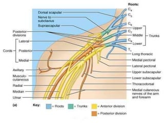 © 2019 McGraw-Hill Education
75
 