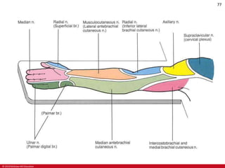 © 2019 McGraw-Hill Education
77
 