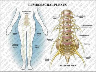 © 2019 McGraw-Hill Education
78
 