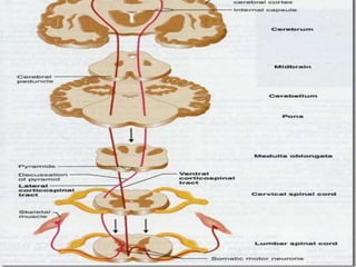© 2019 McGraw-Hill Education
80
 
