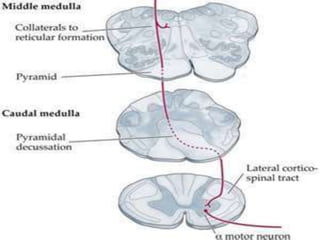 © 2019 McGraw-Hill Education
81
 