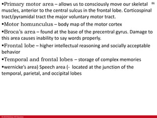 © 2019 McGraw-Hill Education
86
Primary motor area – allows us to consciously move our skeletal
muscles, anterior to the central sulcus in the frontal lobe. Corticospinal
tract/pyramidal tract the major voluntary motor tract.
Motor homunculus – body map of the motor cortex
Broca’s area – found at the base of the precentral gyrus. Damage to
this area causes inability to say words properly.
Frontal lobe – higher intellectual reasoning and socially acceptable
behavior
Temporal and frontal lobes – storage of complex memories
wernicke’s area) Speech area (- located at the junction of the
temporal, parietal, and occipital lobes
 