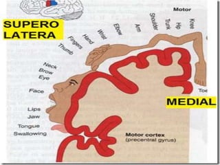 © 2019 McGraw-Hill Education
90
 