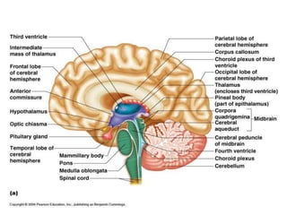 © 2019 McGraw-Hill Education
92
 