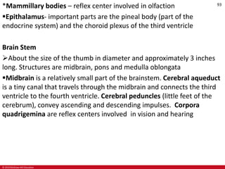 © 2019 McGraw-Hill Education
93
*Mammillary bodies – reflex center involved in olfaction
Epithalamus- important parts are the pineal body (part of the
endocrine system) and the choroid plexus of the third ventricle
Brain Stem
About the size of the thumb in diameter and approximately 3 inches
long. Structures are midbrain, pons and medulla oblongata
Midbrain is a relatively small part of the brainstem. Cerebral aqueduct
is a tiny canal that travels through the midbrain and connects the third
ventricle to the fourth ventricle. Cerebral peduncles (little feet of the
cerebrum), convey ascending and descending impulses. Corpora
quadrigemina are reflex centers involved in vision and hearing
 