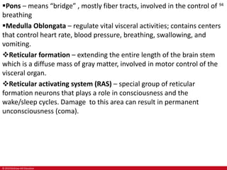 © 2019 McGraw-Hill Education
94
Pons – means “bridge” , mostly fiber tracts, involved in the control of
breathing
Medulla Oblongata – regulate vital visceral activities; contains centers
that control heart rate, blood pressure, breathing, swallowing, and
vomiting.
Reticular formation – extending the entire length of the brain stem
which is a diffuse mass of gray matter, involved in motor control of the
visceral organ.
Reticular activating system (RAS) – special group of reticular
formation neurons that plays a role in consciousness and the
wake/sleep cycles. Damage to this area can result in permanent
unconsciousness (coma).
 