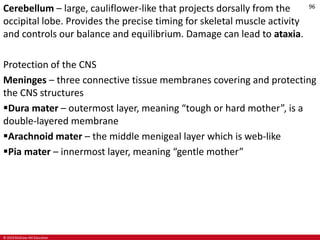 © 2019 McGraw-Hill Education
96
Cerebellum – large, cauliflower-like that projects dorsally from the
occipital lobe. Provides the precise timing for skeletal muscle activity
and controls our balance and equilibrium. Damage can lead to ataxia.
Protection of the CNS
Meninges – three connective tissue membranes covering and protecting
the CNS structures
Dura mater – outermost layer, meaning “tough or hard mother”, is a
double-layered membrane
Arachnoid mater – the middle menigeal layer which is web-like
Pia mater – innermost layer, meaning “gentle mother”
 