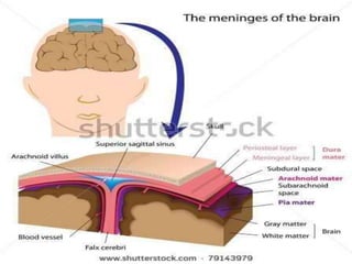 © 2019 McGraw-Hill Education
99
 