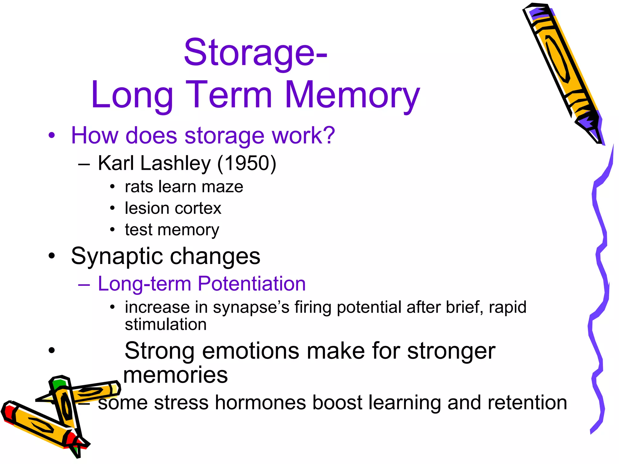 Storage- Long Term Memory How does storage work? Karl Lashley (1950) rats learn maze lesion cortex  test memory Synaptic changes Long-term Potentiation increase in synapse’s firing potential after brief, rapid stimulation Strong emotions make for stronger    memories some stress hormones boost learning and retention 