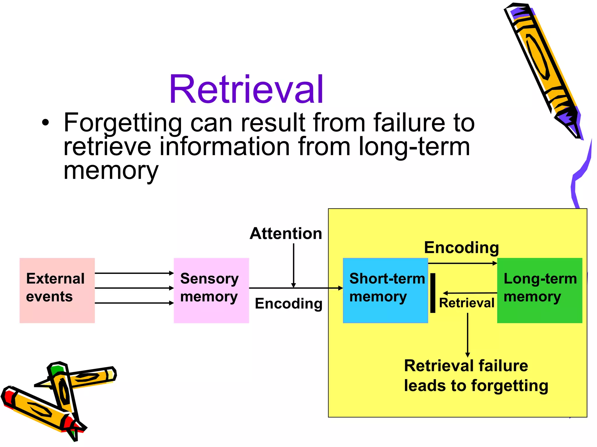 Retrieval Forgetting can result from failure to retrieve information from long-term memory External events Attention Encoding Encoding Retrieval failure leads to forgetting Retrieval Sensory memory Short-term memory Long-term memory 