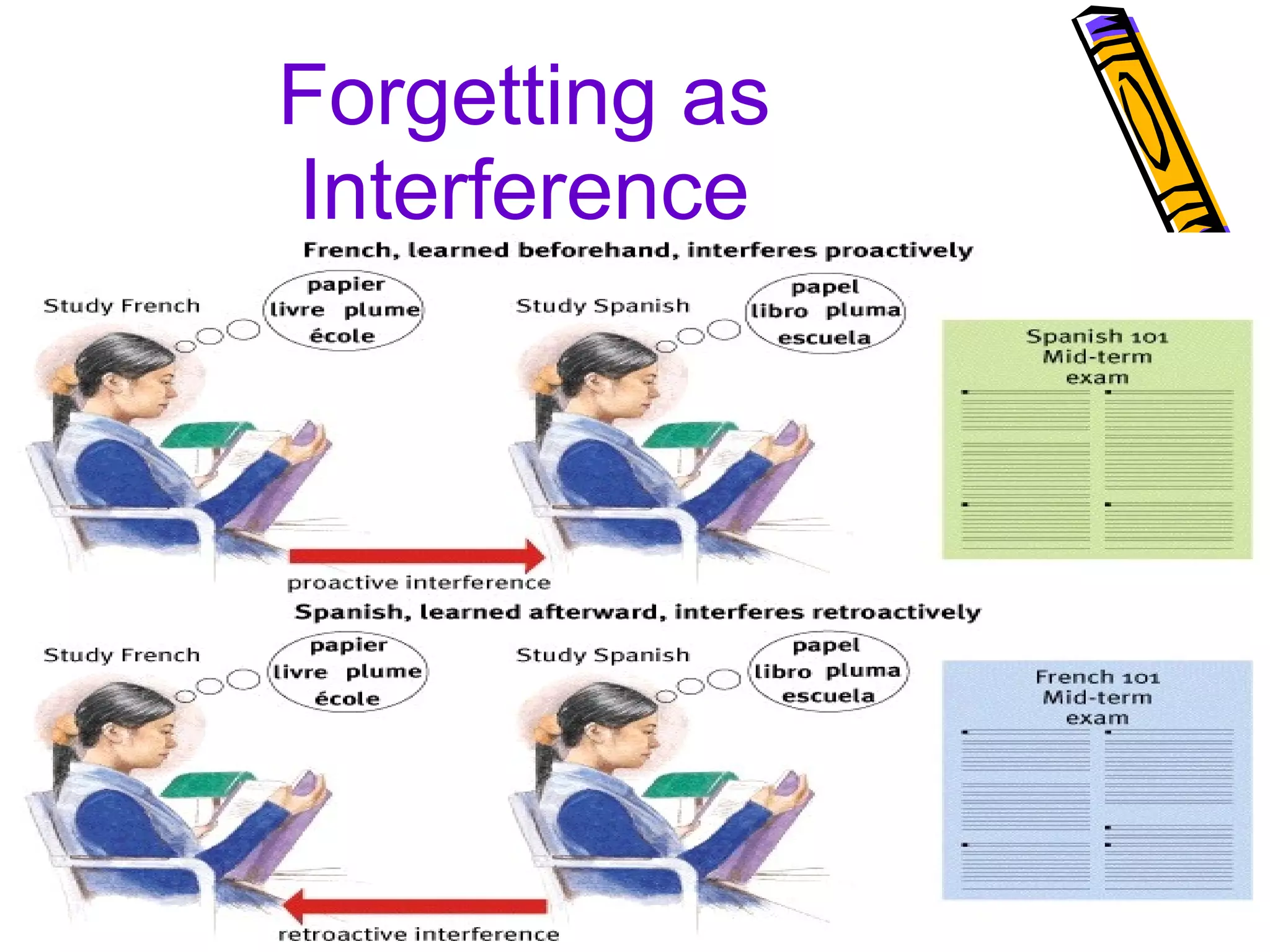 Forgetting as Interference 