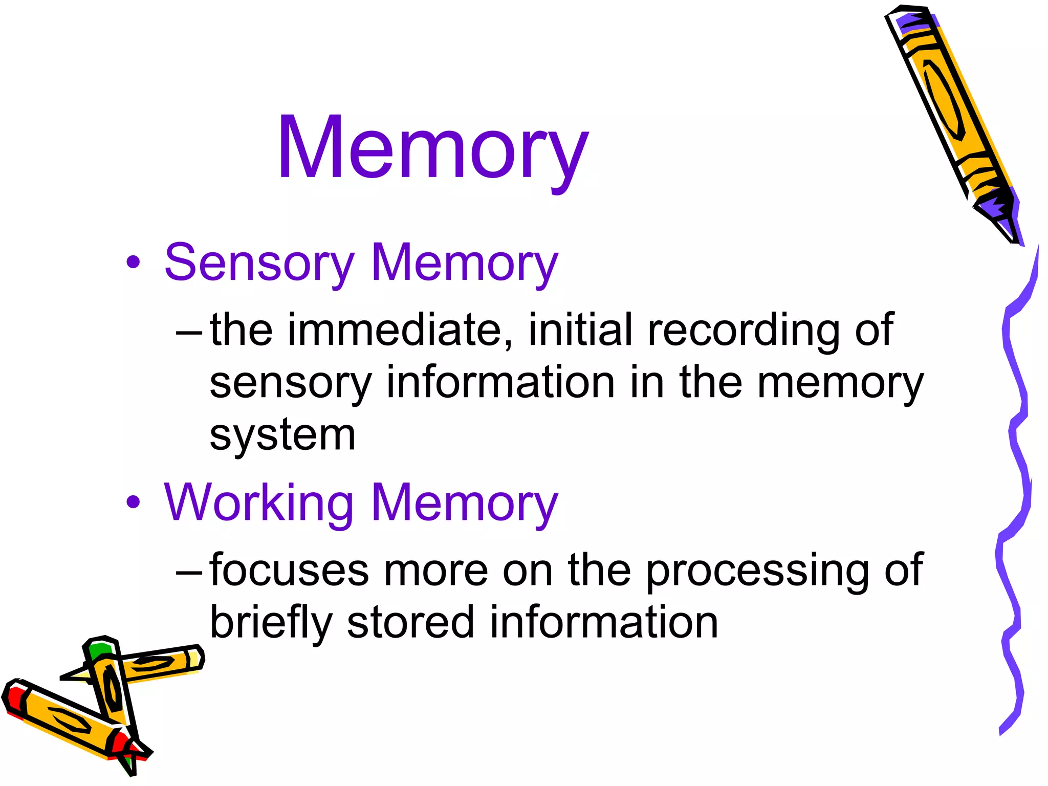Memory Sensory Memory the immediate, initial recording of sensory information in the memory system Working Memory focuses more on the processing of briefly stored information 