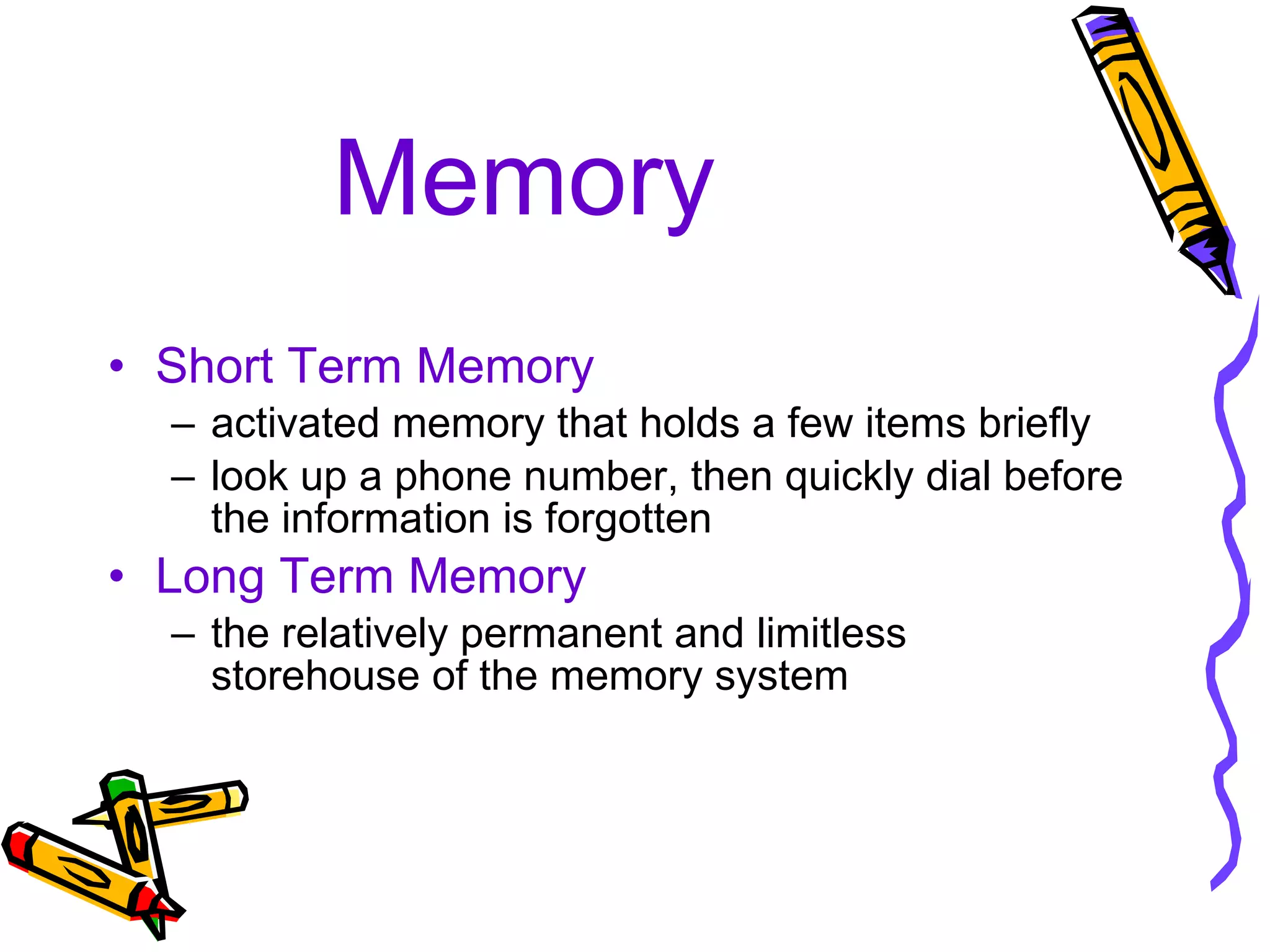 Memory Short Term Memory activated memory that holds a few items briefly look up a phone number, then quickly dial before the information is forgotten Long Term Memory the relatively permanent and limitless storehouse of the memory system 