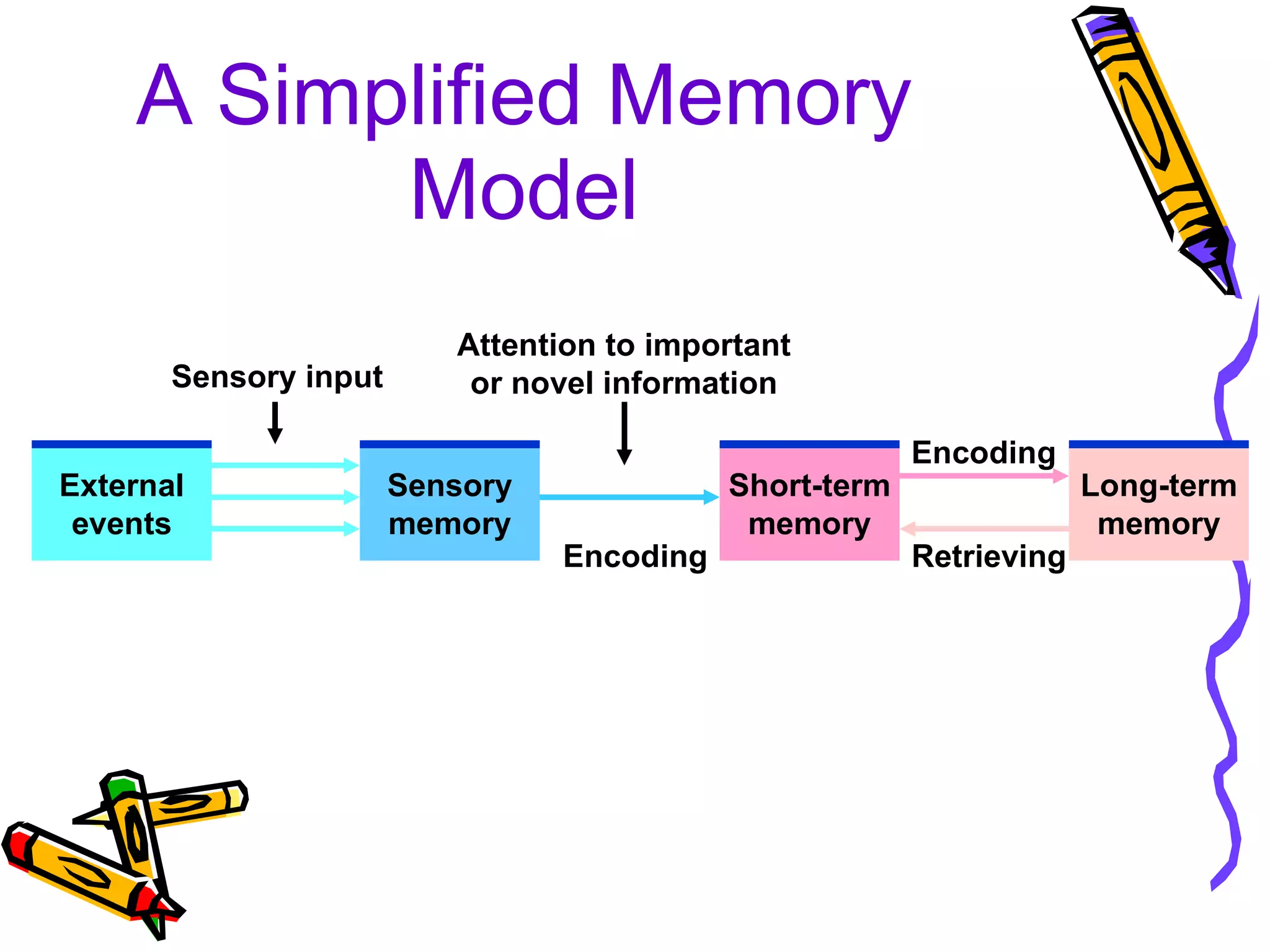 A Simplified Memory Model External events Sensory memory Short-term memory Long-term memory Sensory input Attention to important or novel information Encoding Encoding Retrieving 