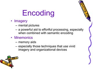 Encoding Imagery mental pictures a powerful aid to effortful processing, especially when combined with semantic encoding Mnemonics memory aids especially those techniques that use vivid imagery and organizational devices 
