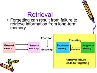 Retrieval Forgetting can result from failure to retrieve information from long-term memory External events Attention Encoding Encoding Retrieval failure leads to forgetting Retrieval Sensory memory Short-term memory Long-term memory 
