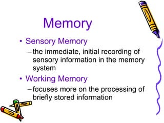 Memory Sensory Memory the immediate, initial recording of sensory information in the memory system Working Memory focuses more on the processing of briefly stored information 