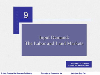 Input Demand: The Labor and Land Markets 