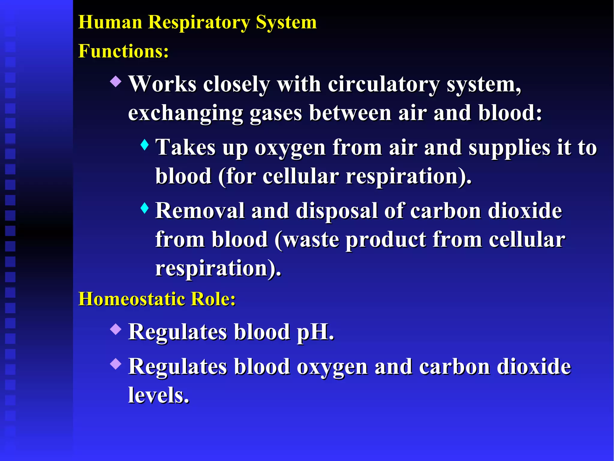 Human Respiratory System
Functions:
      Works closely with circulatory system,
       exchanging gases between air and blood:
         Takes up oxygen from air and supplies it to

          blood (for cellular respiration).
         Removal and disposal of carbon dioxide

          from blood (waste product from cellular
          respiration).
Homeostatic Role:
    Regulates blood pH.
    Regulates blood oxygen and carbon dioxide

     levels.
 