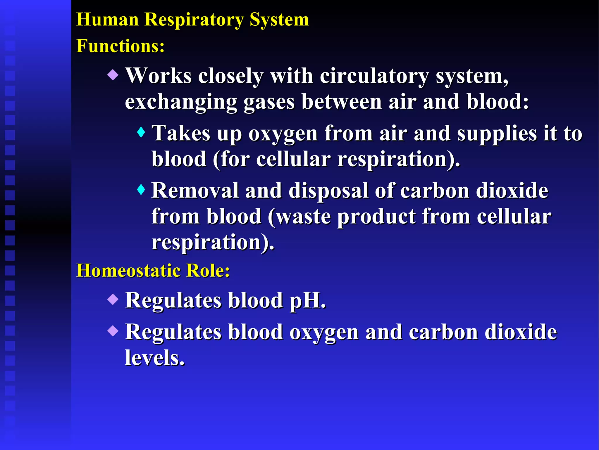 Human Respiratory System Functions:   Works closely with circulatory system, exchanging gases between air and blood: Takes up oxygen from air and supplies it to blood (for cellular respiration). Removal and disposal of carbon dioxide from blood (waste product from cellular respiration). Homeostatic Role: Regulates blood pH. Regulates blood oxygen and carbon dioxide levels. 