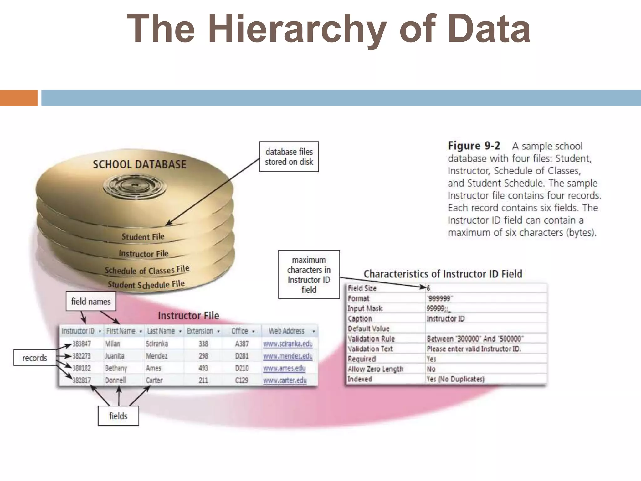 The Hierarchy of Data
 
