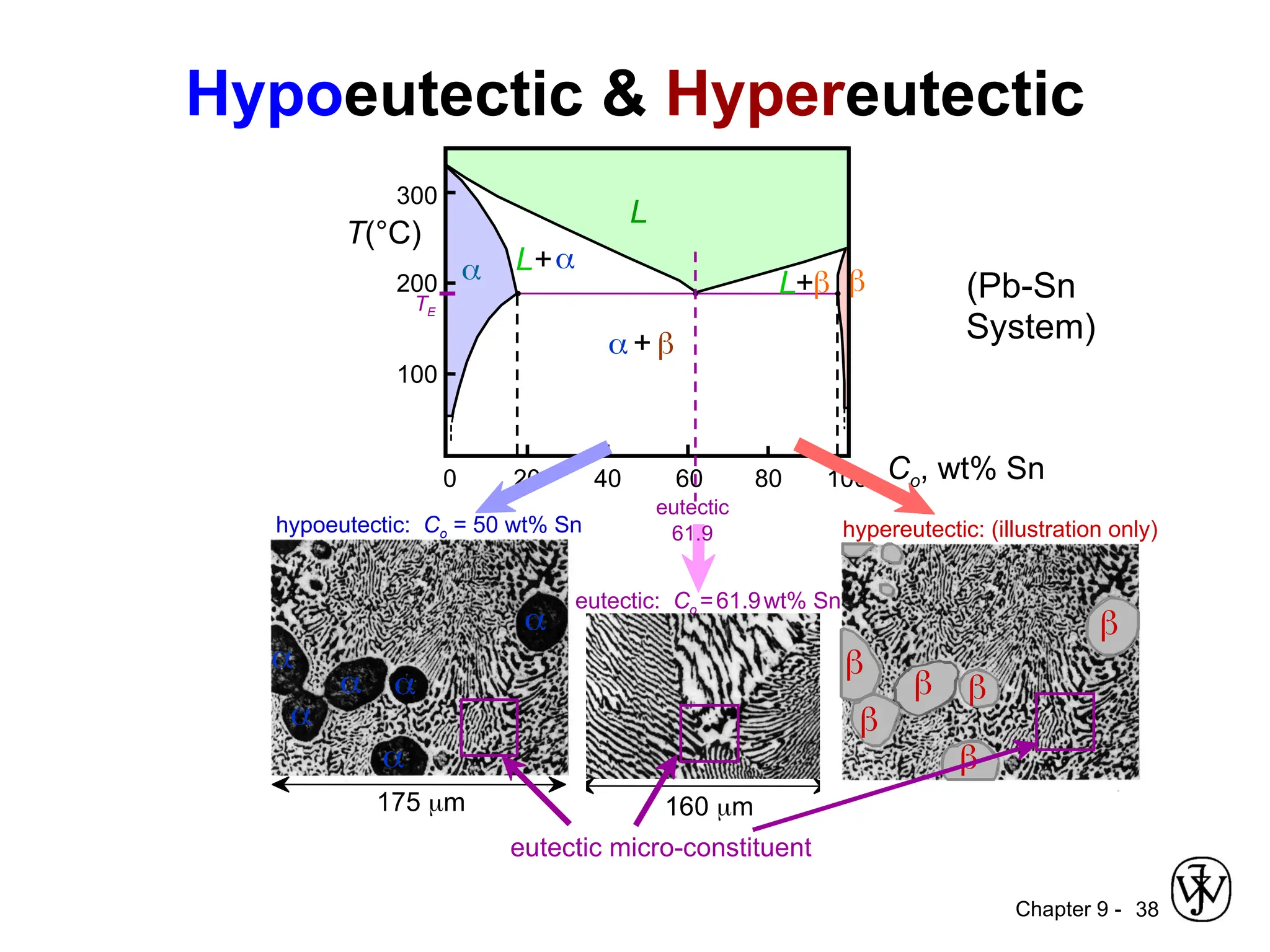 Chapter 9 - 38
L+
L+
 + 
200
Co, wt% Sn
20 60 80 100
0
300
100
L
 
TE
40
(Pb-Sn
System)
Hypoeutectic & Hypereutectic
160 m
eutectic micro-constituent
hypereutectic: (illustration only)






175 m






hypoeutectic: Co = 50 wt% Sn
T(°C)
61.9
eutectic
eutectic: Co =61.9wt% Sn
 
