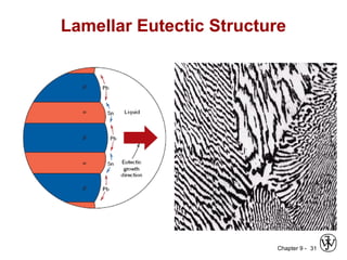 Chapter 9 - 31
Lamellar Eutectic Structure
 