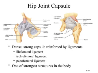 THE HUMAN JOINTS (HUMAN ANATOMY SLIDE SHOW) | PPTX