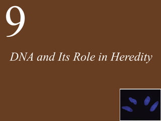 DNA and Its Role in Heredity
9
 