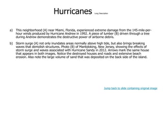 9-48
Hurricanes Long Description
a) This neighborhood (A) near Miami, Florida, experienced extreme damage from the 145-mile-per-
hour winds produced by Hurricane Andrew in 1992. A piece of lumber (B) driven through a tree
during Andrew demonstrates the destructive power of airborne debris.
b) Storm surge (A) not only inundates areas normally above high tide, but also brings breaking
waves that demolish structures. Photo (B) of Mantoloking, New Jersey, showing the effects of
storm surge and waves associated with Hurricane Sandy in 2012. Arrows mark the same house
that appears in both images. Notice the destroyed houses and roads and extensive beach
erosion. Also note the large volume of sand that was deposited on the back side of the island.
Jump back to slide containing original image
 