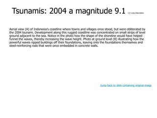 9-58
Tsunamis: 2004 a magnitude 9.1 (2) Long Description
Aerial view (A) of Indonesia’s coastline where towns and villages once stood, but were obliterated by
the 2004 tsunami. Development along this rugged coastline was concentrated on small strips of level
ground adjacent to the sea. Notice in the photo how the shape of the shoreline would have helped
funnel the waves, thereby increasing the wave height. Photo at ground level (B) illustrating how the
powerful waves ripped buildings off their foundations, leaving only the foundations themselves and
steel-reinforcing rods that were once embedded in concrete walls.
Jump back to slide containing original image
 
