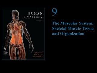© 2012 Pearson Education, Inc. 
9 
The Muscular System: 
Skeletal Muscle Tissue 
and Organization 
PowerPoint® Lecture Presentations prepared by 
Steven Bassett 
Southeast Community College 
Lincoln, Nebraska 
 