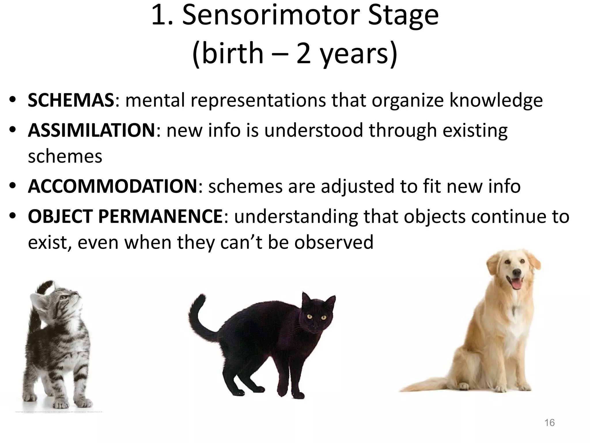 16
• SCHEMAS: mental representations that organize knowledge
• ASSIMILATION: new info is understood through existing
schemes
• ACCOMMODATION: schemes are adjusted to fit new info
• OBJECT PERMANENCE: understanding that objects continue to
exist, even when they can’t be observed
1. Sensorimotor Stage
(birth – 2 years)
 