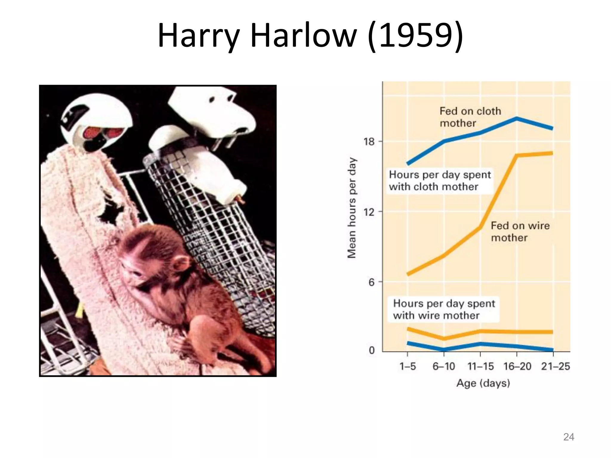 Harry Harlow (1959)
24
 