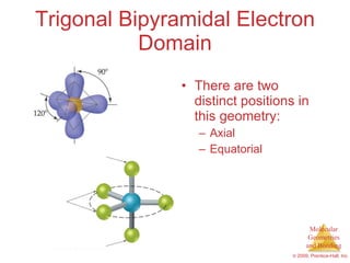 Trigonal Bipyramidal Electron Domain There are two distinct positions in this geometry: Axial Equatorial 