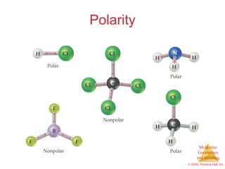 Polarity 