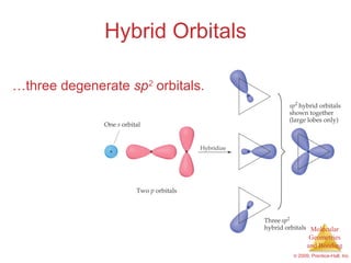 Hybrid Orbitals … three degenerate  sp 2  orbitals. 