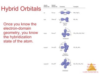Hybrid Orbitals Once you know the electron-domain geometry, you know the hybridization state of the atom. 