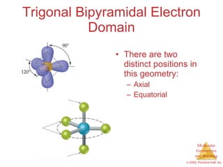 Trigonal Bipyramidal Electron Domain ,[object Object],[object Object],[object Object]