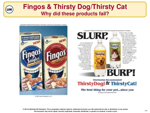 Why Did Thirsty Dog And Thirsty Cat Fail Why Did Thirsty Dog And Thirsty Cat Fail